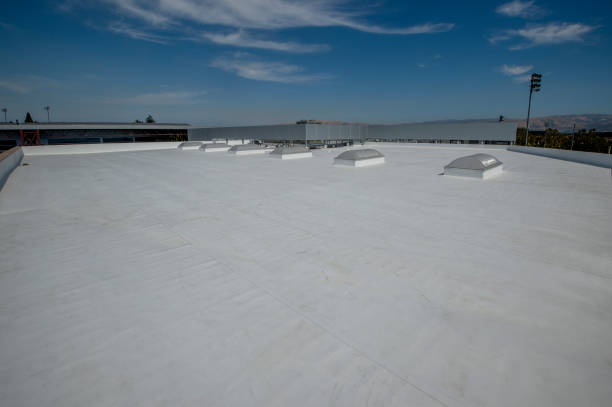 Best Chimney Flashing Repair  in Aurora, NE
