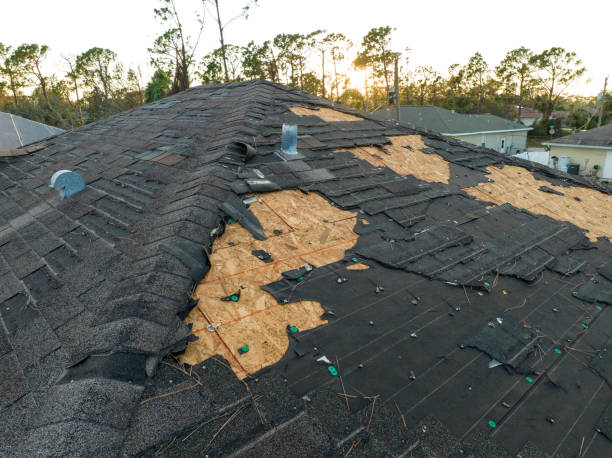 Trusted Aurora, NE Roofing Service Experts
