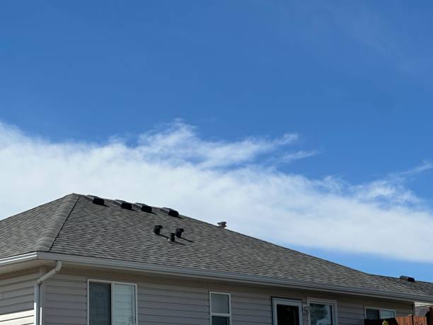 Best Solar Panel Roofing Installation  in Aurora, NE